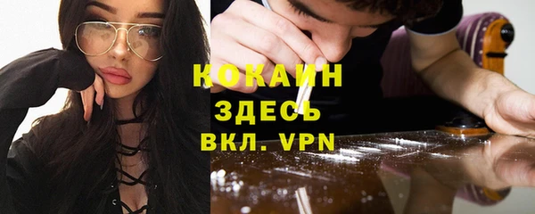 прущие грибы Ростов