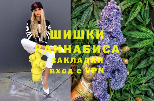 сатива Бронницы