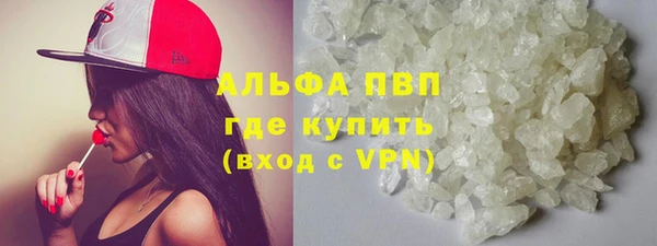 сатива Бронницы