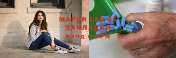 сатива Бронницы