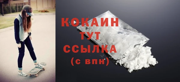 не бодяженный Бородино