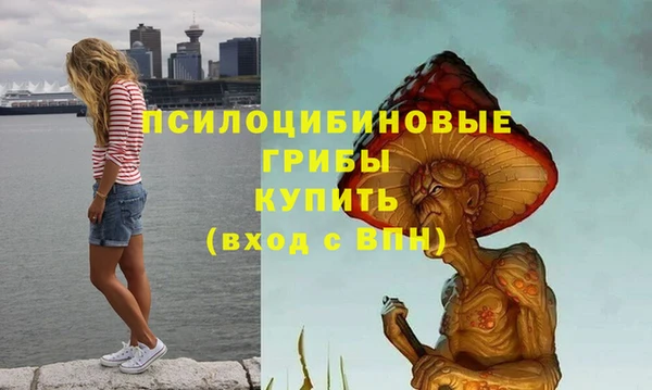не бодяженный Бородино