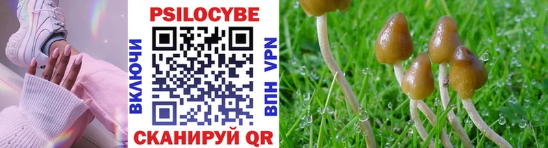 Галлюциногенные грибы мухоморы  наркотики  Мелеуз 